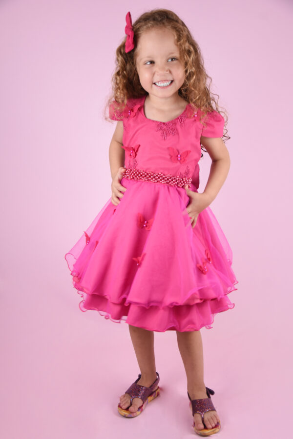 Vestido Infantil Bordado Festa jardim Borboletas Luxo Aniversário - Image 3
