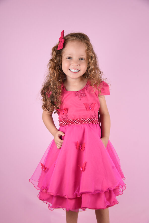 Vestido Infantil Bordado Festa jardim Borboletas Luxo Aniversário - Image 4