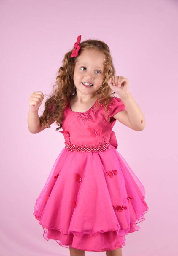 Vestido Infantil Bordado Festa jardim Borboletas Luxo Aniversário - Image 5