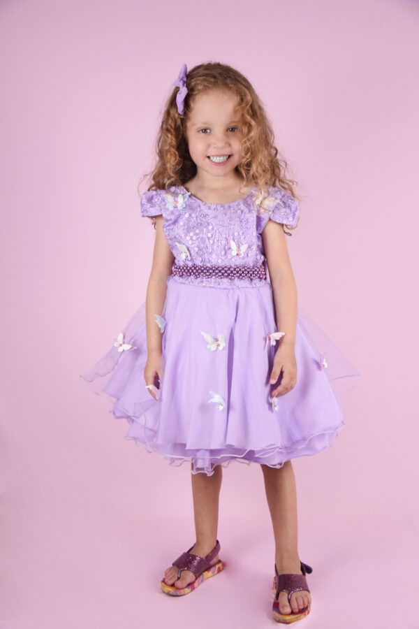 Vestido Infantil Curto Borboletas Encantada Festa Casamento Jardim