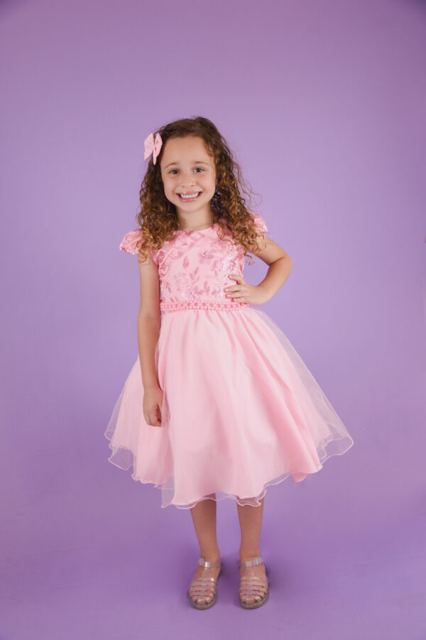 Vestido Juvenil Princesa Bordado Casamento Batizado Curto